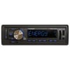 Radio auto Blaupunkt BPA 1119 BT