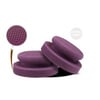 Scholl Concepts Spider Cleaning Puck 130 x 50 mm Purple