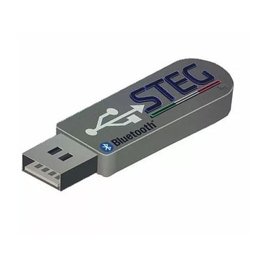 Modul Bluetooth STEG