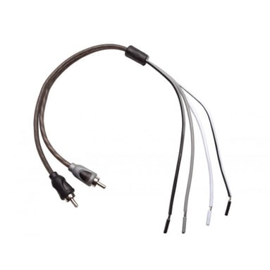 Rockford Fosgate RFI2SW