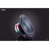 Subwoofer STEG SS-10