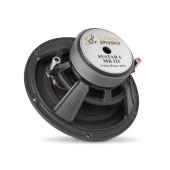 Difuzoare Audible Physics Avatar 6.1