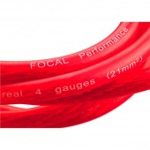Set cablu Focal PK 21