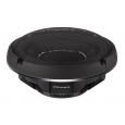 Rockford Fosgate T1SG-12