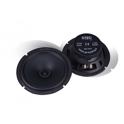 Difuzoare coaxiale STEG MS 650